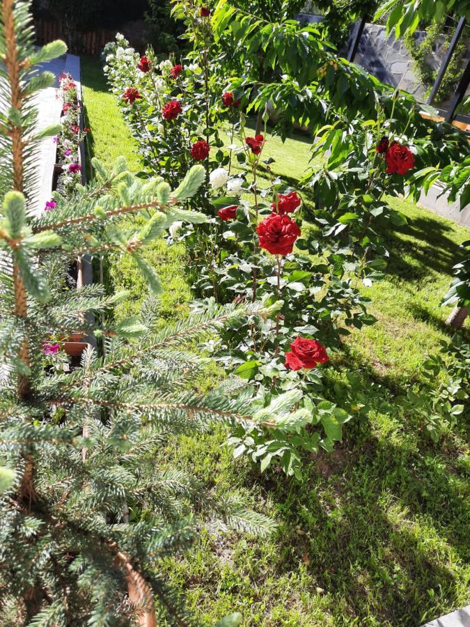 Cherry Garden Boutique Hotel Yeghegnadzor Luaran gambar
