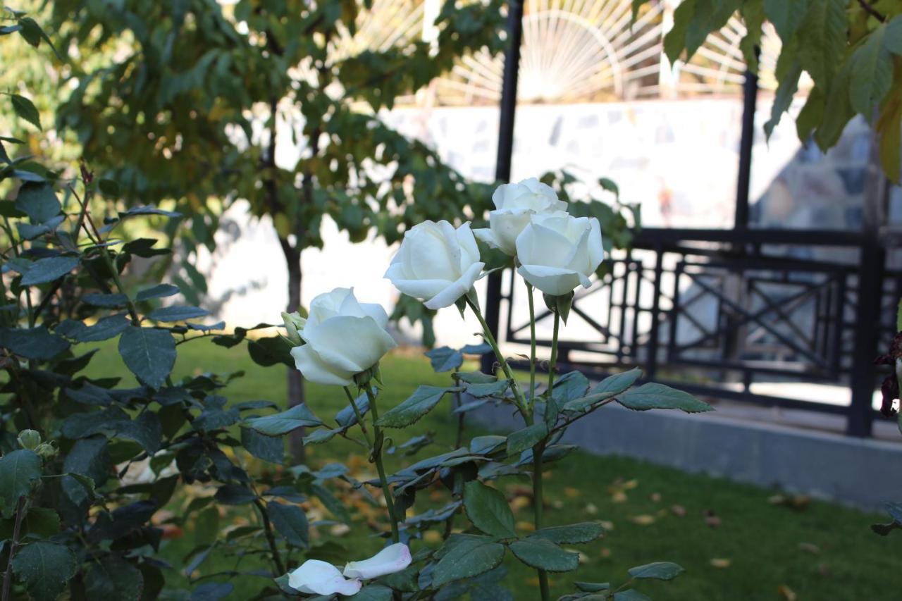 Cherry Garden Boutique Hotel Yeghegnadzor Luaran gambar
